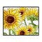 Stupell Industries Peeking Sunflower Blooms Framed Giclee, design by Kim Allen